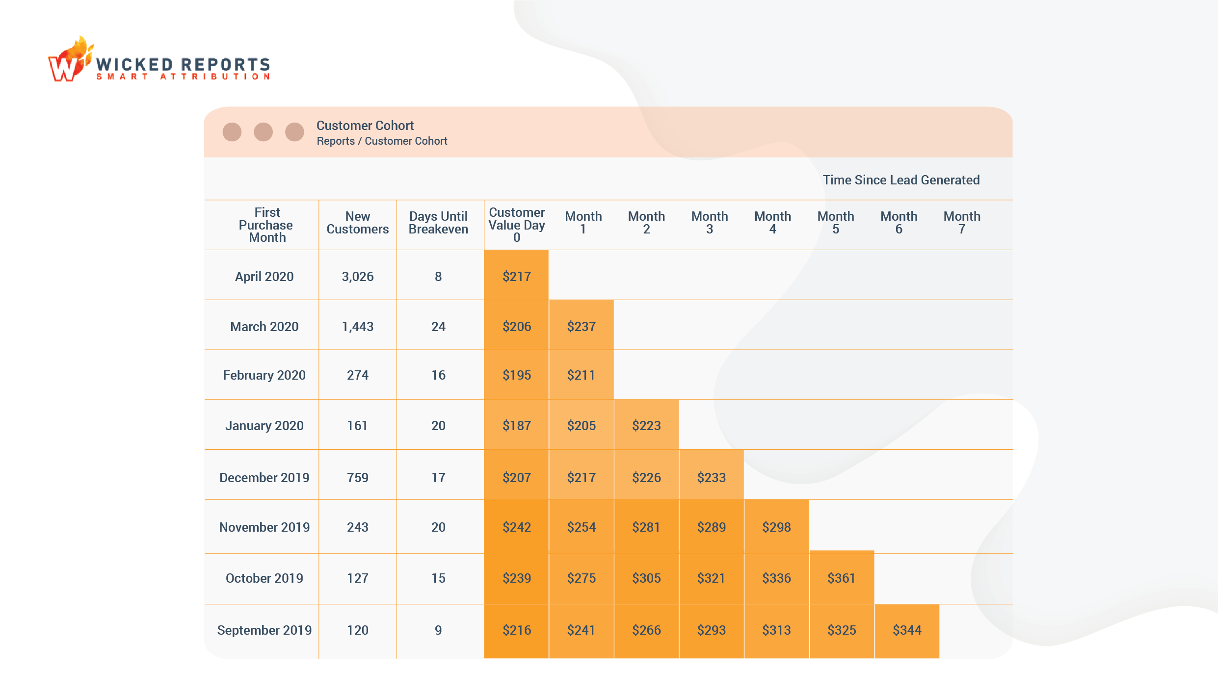 customer cohort 