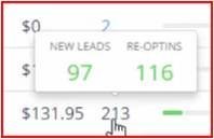 wicked reports enhanced ROI report