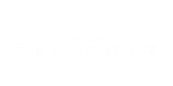 balanced-life-testimonial