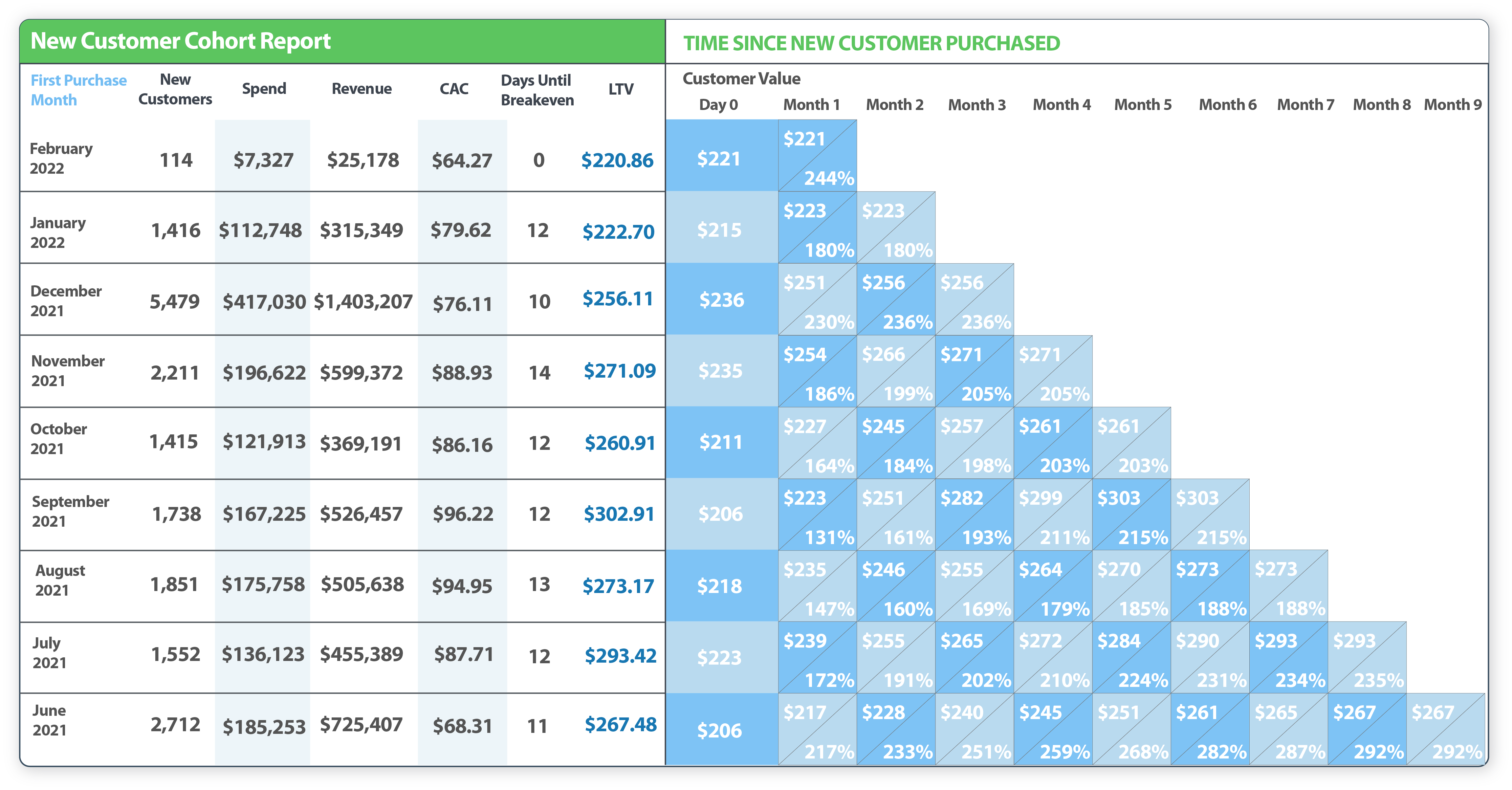 customer cohort report