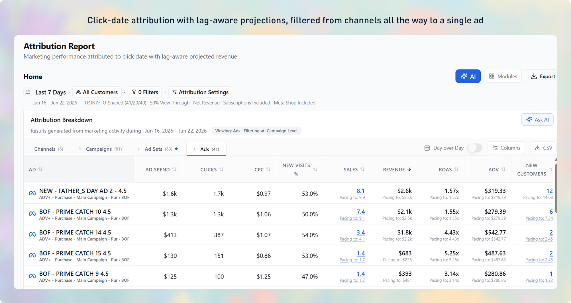 Attribution Report — down to the ad level