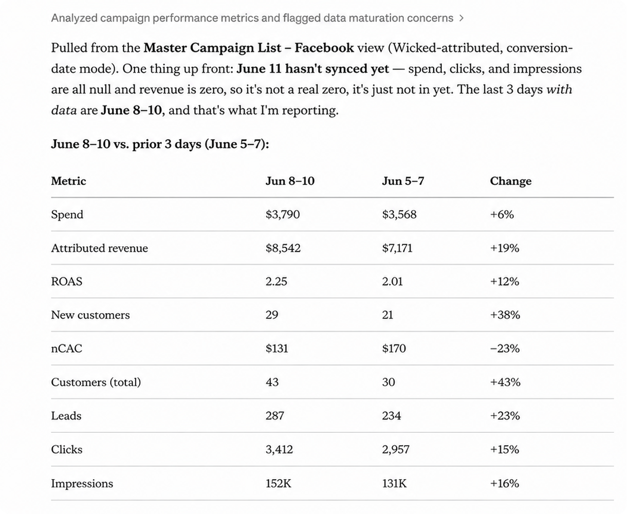 Analyzed campaign performance metrics and flagged data maturation concerns