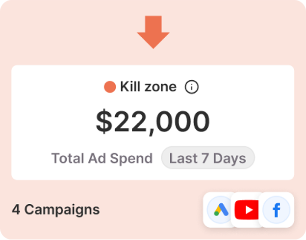 Kill Zone — $22,000 total ad spend, 4 campaigns