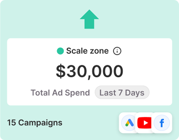 Scale Zone — $30,000 total ad spend, 15 campaigns