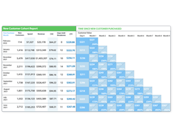 Ecommerce Customer Lifetime Value: The Surprising Metric for Optimizing Cold Traffic